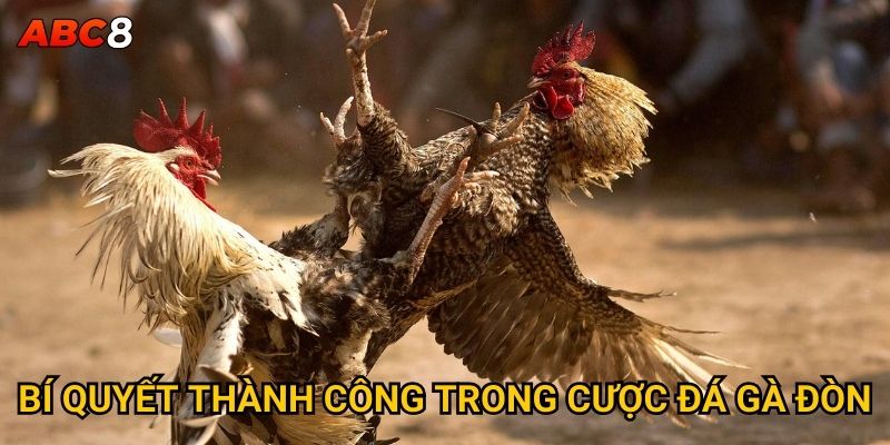 Đá gà đòn có phải là môn võ thuật thực thụ tại ACB8? 3 Bí quyết thành công trong cược đá gà đòn