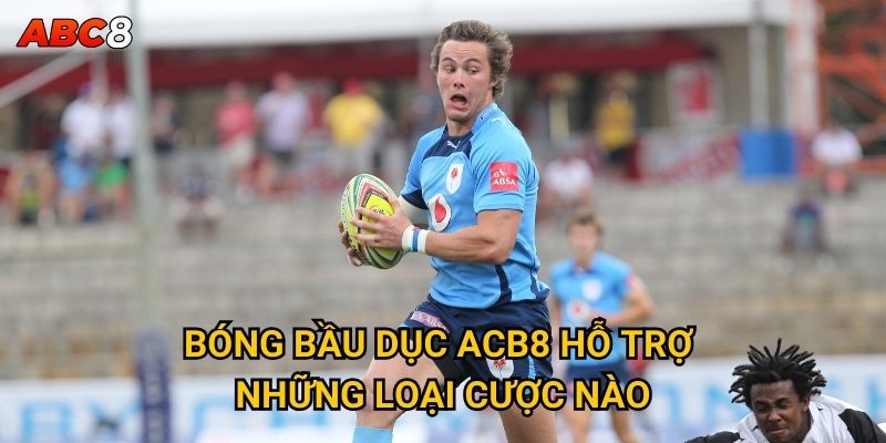 Bóng bầu dục ACB8 hỗ trợ những loại cược nào?