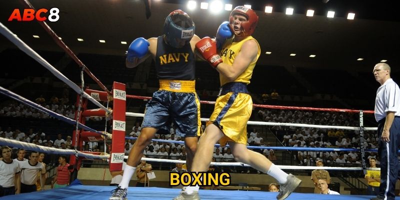 Cá cược boxing ACB8 mang lại cơ hội thắng lớn không? 5 Boxing